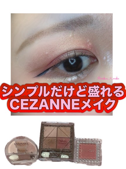 ニュアンスオンアイシャドウ/CEZANNE/アイシャドウパレットを使ったクチコミ(1枚目)