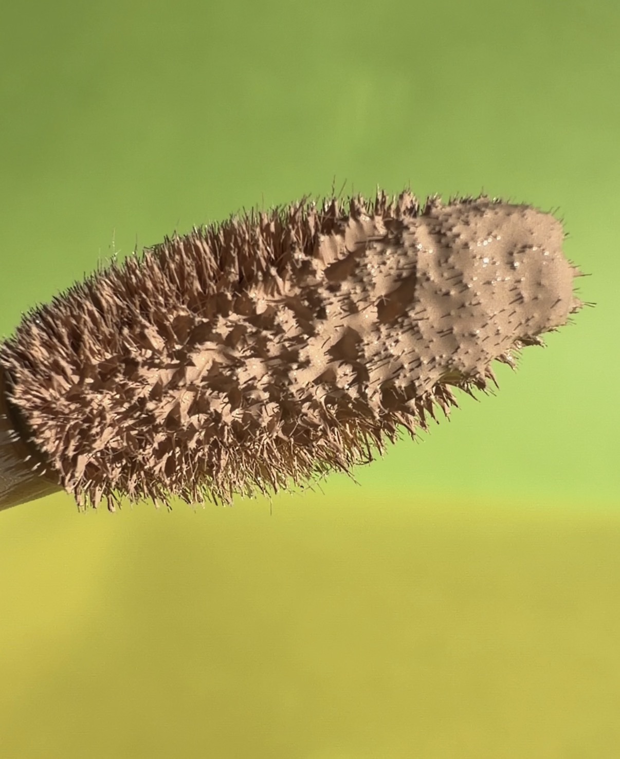 ダーマシンコンシーラー 1号 グロウベージュ/23years old/リキッドコンシーラーを使ったクチコミ（3枚目）