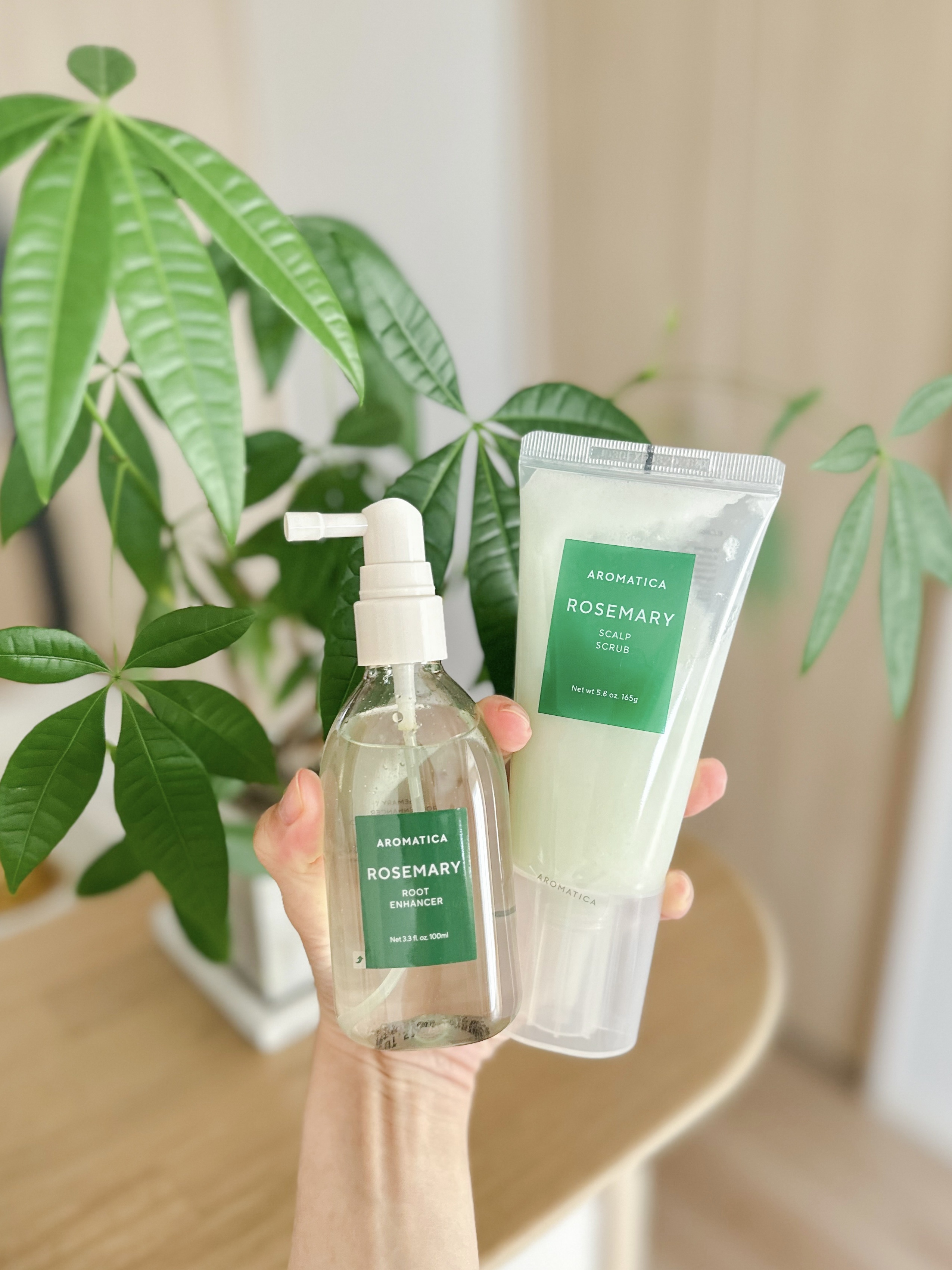 ローズマリー スカルプ スクラブ/AROMATICA/ヘッドスクラブを使ったクチコミ（1枚目）