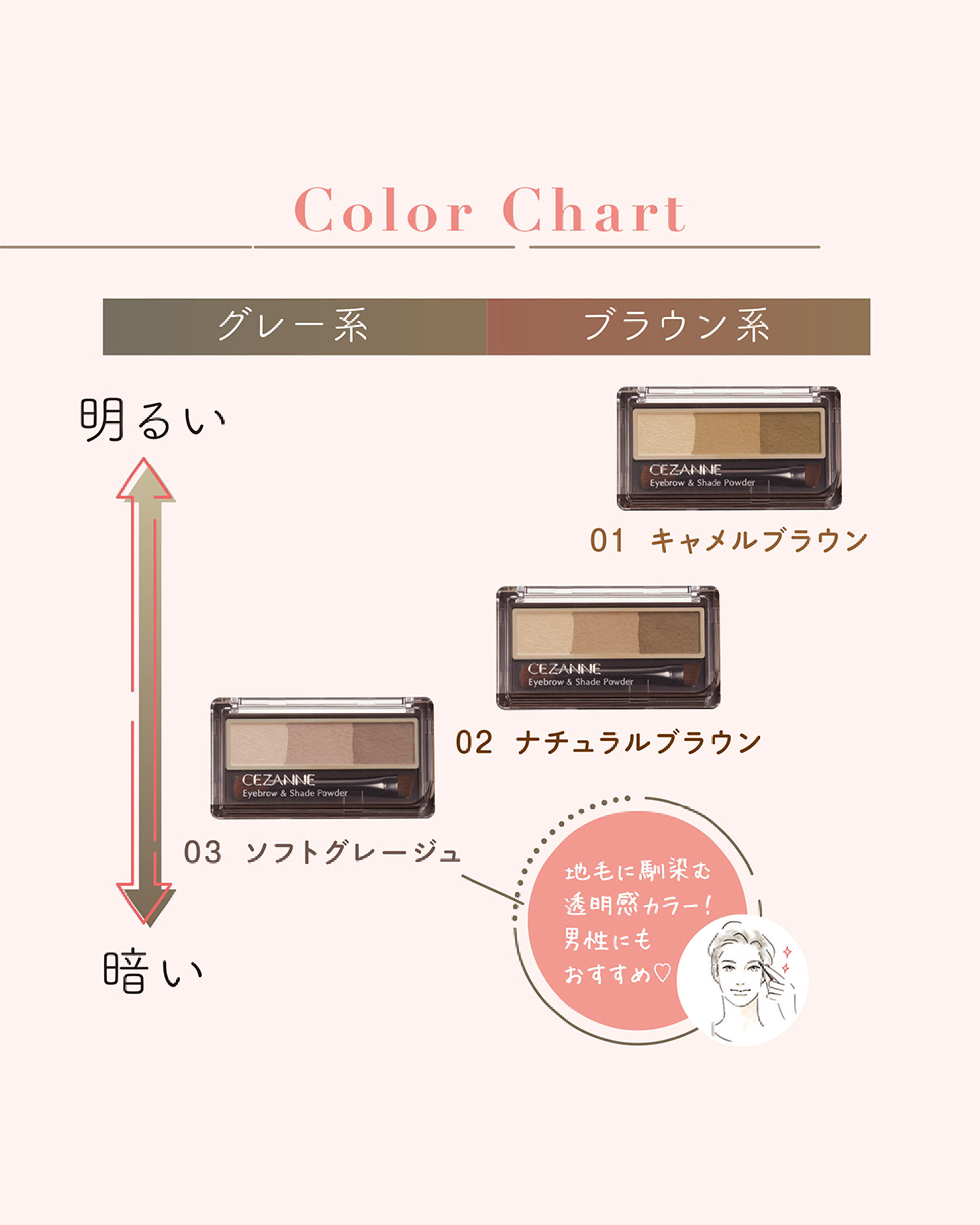 アイブロウ&シェードパウダー/CEZANNE/パウダーアイブロウを使ったクチコミ（2枚目）