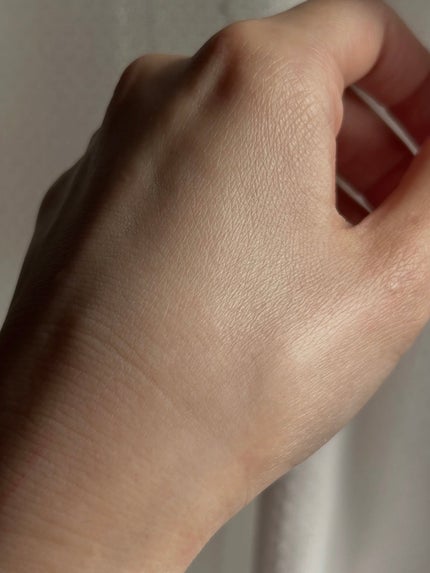 SHISEIDO エッセンス スキンセッティング パウダー/SHISEIDO/ルースパウダーを使ったクチコミ(3枚目)