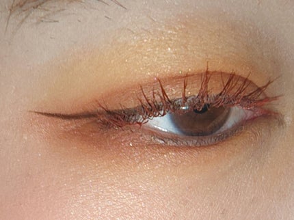 ケイト ザ アイカラー/KATE/単色アイシャドウを使ったクチコミ(3枚目)