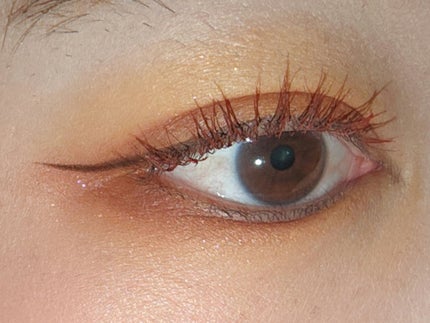 ケイト ザ アイカラー/KATE/単色アイシャドウを使ったクチコミ(2枚目)