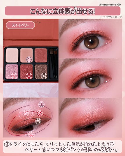 アイカラーパレット/heme/アイシャドウパレットを使ったクチコミ(5枚目)