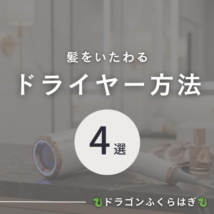 レプロナイザー 4D Plus/LUMIELINA/ドライヤーを使ったクチコミ(1枚目)