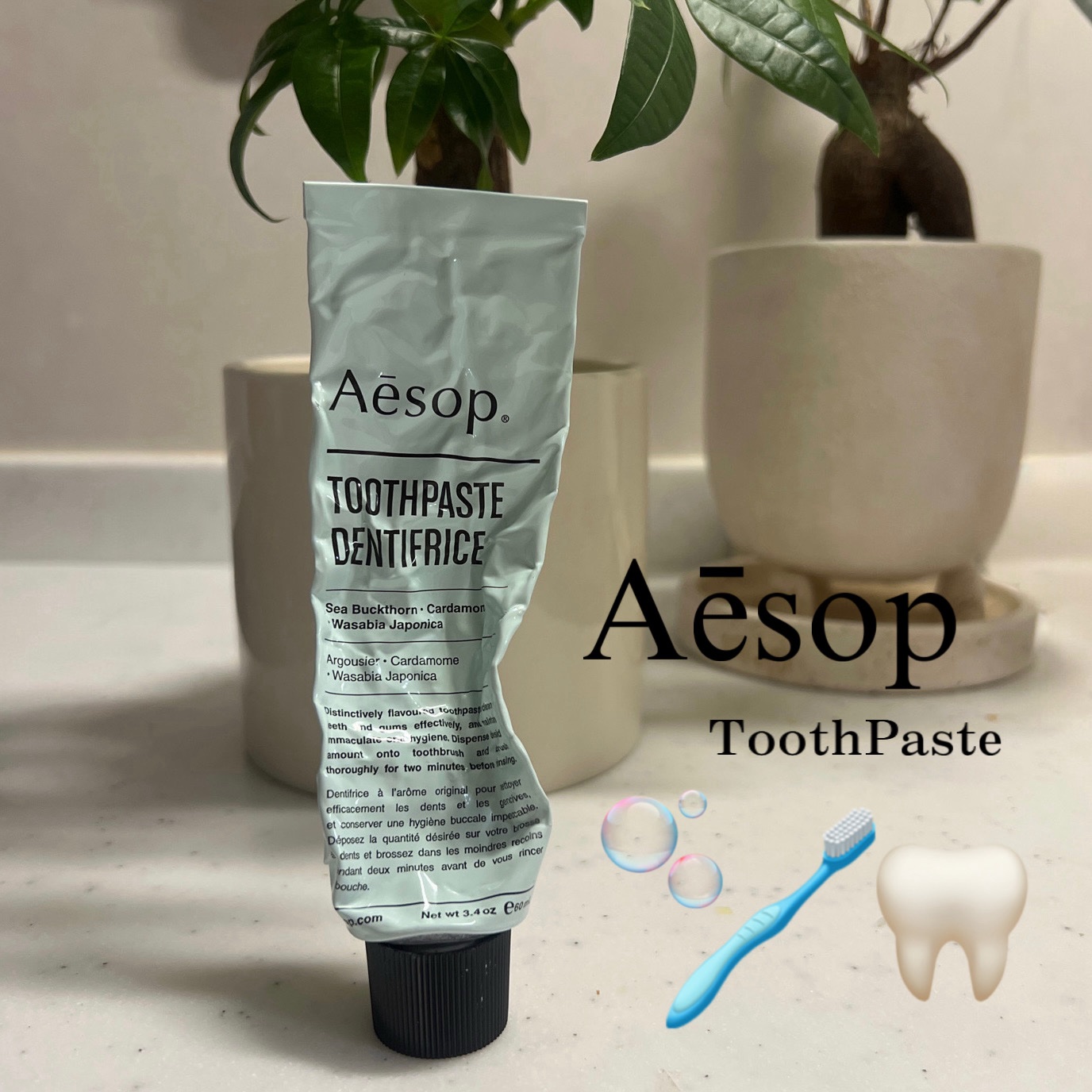 イソップ トゥースペースト/Aesop/歯磨き粉を使ったクチコミ（1枚目）