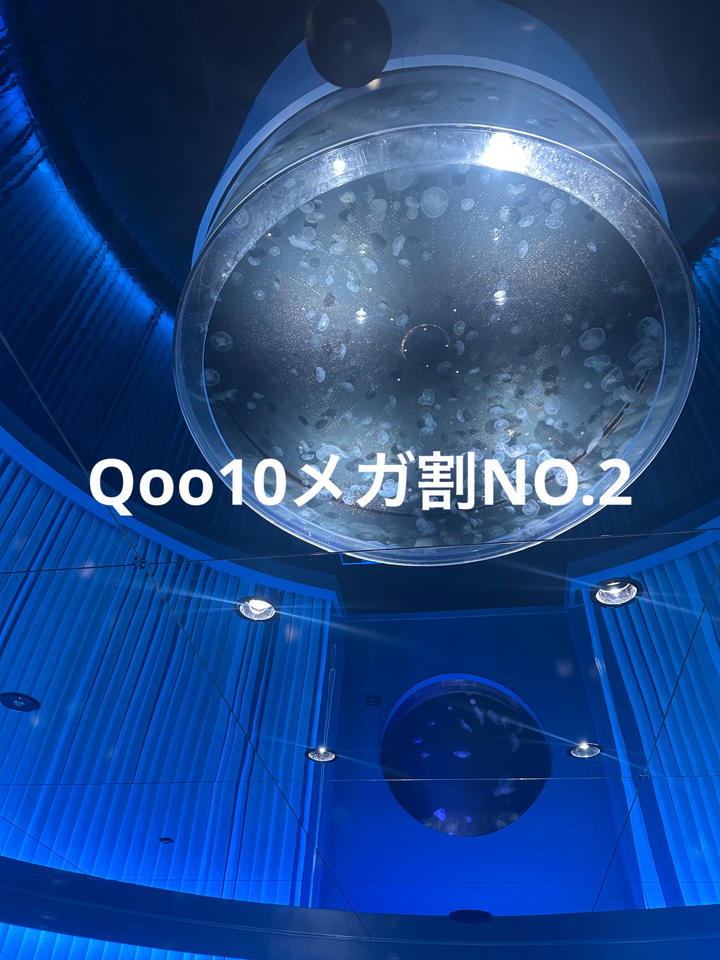 デュアルバリアクリーミートナー/celimax/化粧水を使ったクチコミ(1枚目)