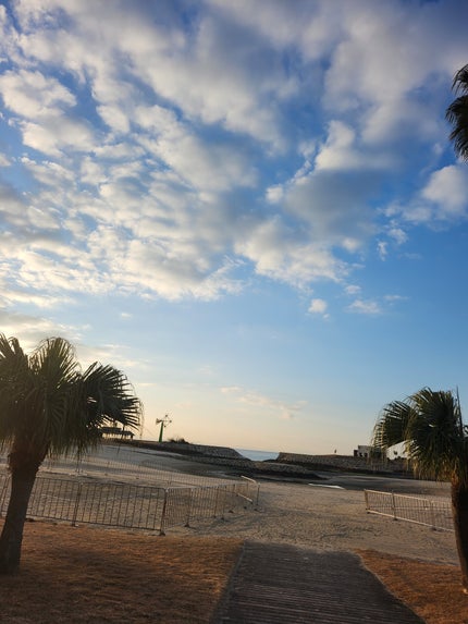 Victoria on LIPS 「🌿🌿平日朝散歩継続中🌿🌿朝、出勤前に10分でも散歩するようにし..」(1枚目)