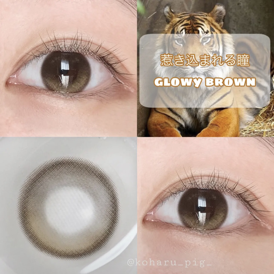 OLENS Eyelighter Glowy 1Day のクチコミ「🐯惹き込まれる瞳🐯



ハイライトの優しい発色に目が奪われる

ちゅるんとした水光感

┈┈.....」（1枚目）