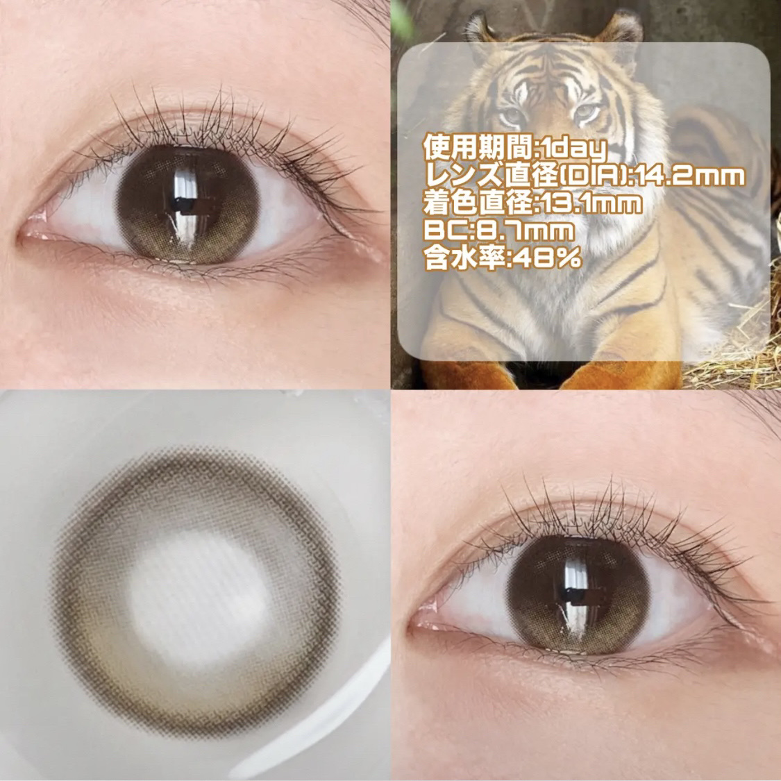 OLENS Eyelighter Glowy 1Day のクチコミ「🐯惹き込まれる瞳🐯



ハイライトの優しい発色に目が奪われる

ちゅるんとした水光感

┈┈.....」（2枚目）