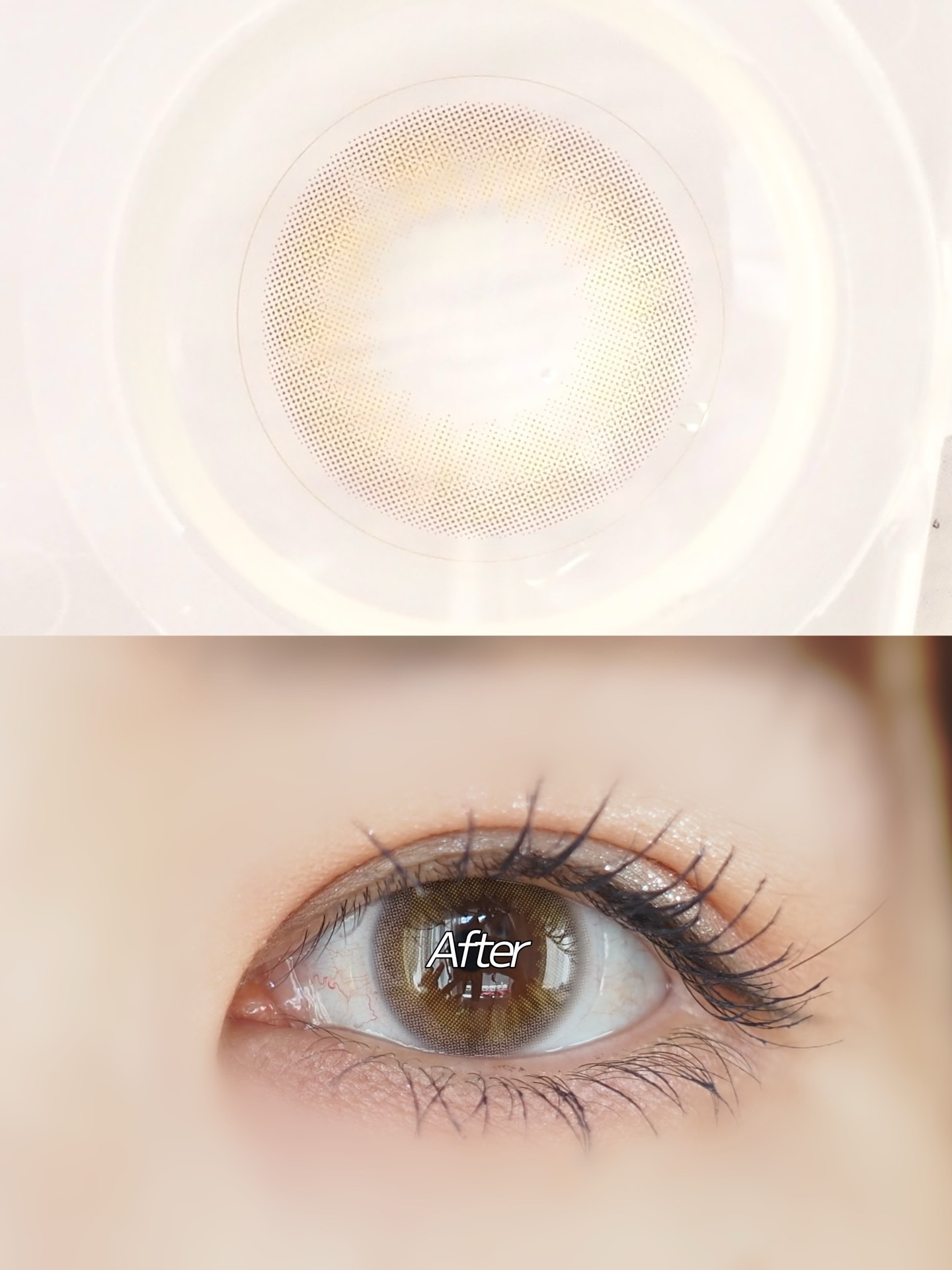 mimuco 1day/mimuco/ワンデー（１DAY）カラコンを使ったクチコミ（2枚目）