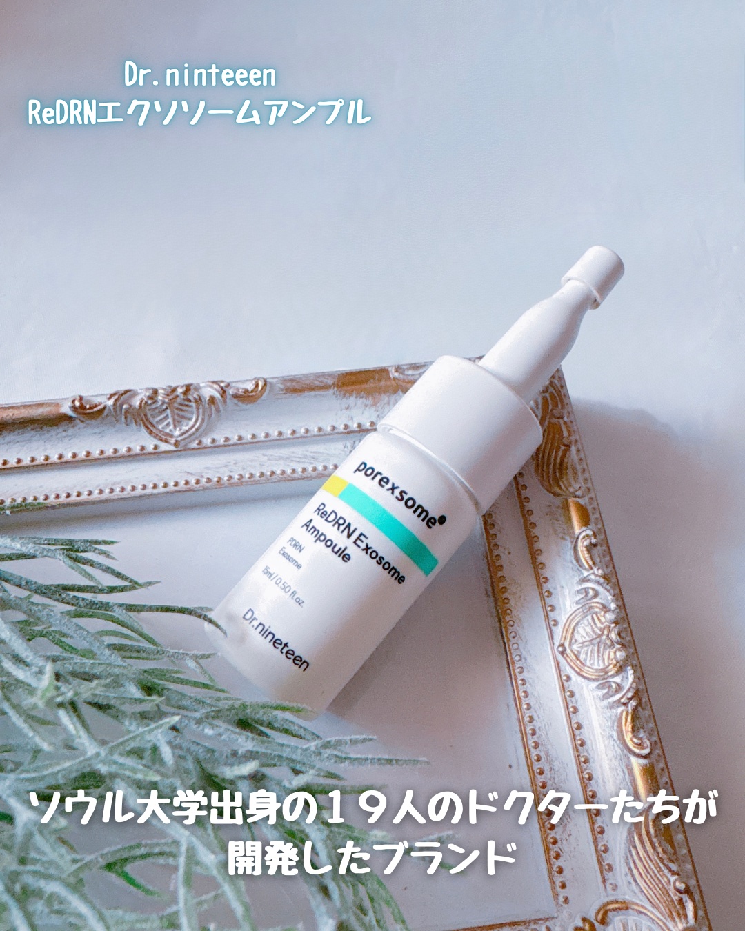 ビタ３プリンクリーム/オーズナリー/フェイスクリームを使ったクチコミ（3枚目）