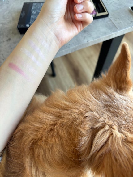 ディオールショウ サンク クルール(スプリング コレクション 2026 限定品)/Dior/アイシャドウを使ったクチコミ(5枚目)