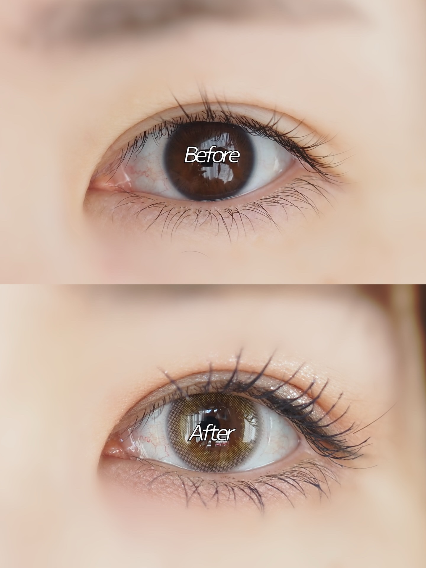 mimuco 1day/mimuco/ワンデー（１DAY）カラコンを使ったクチコミ（3枚目）