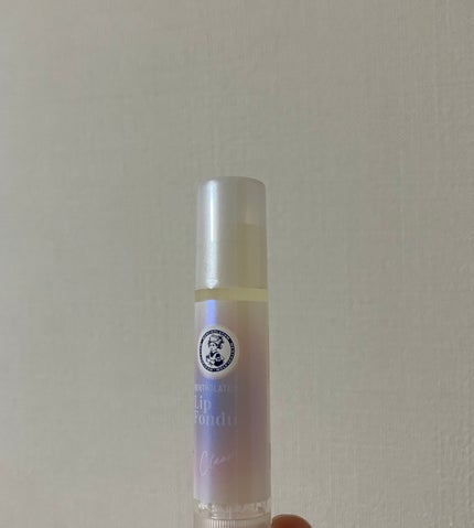 メンソレータム リップフォンデュ/メンソレータム/リッププランパーを使ったクチコミ(2枚目)