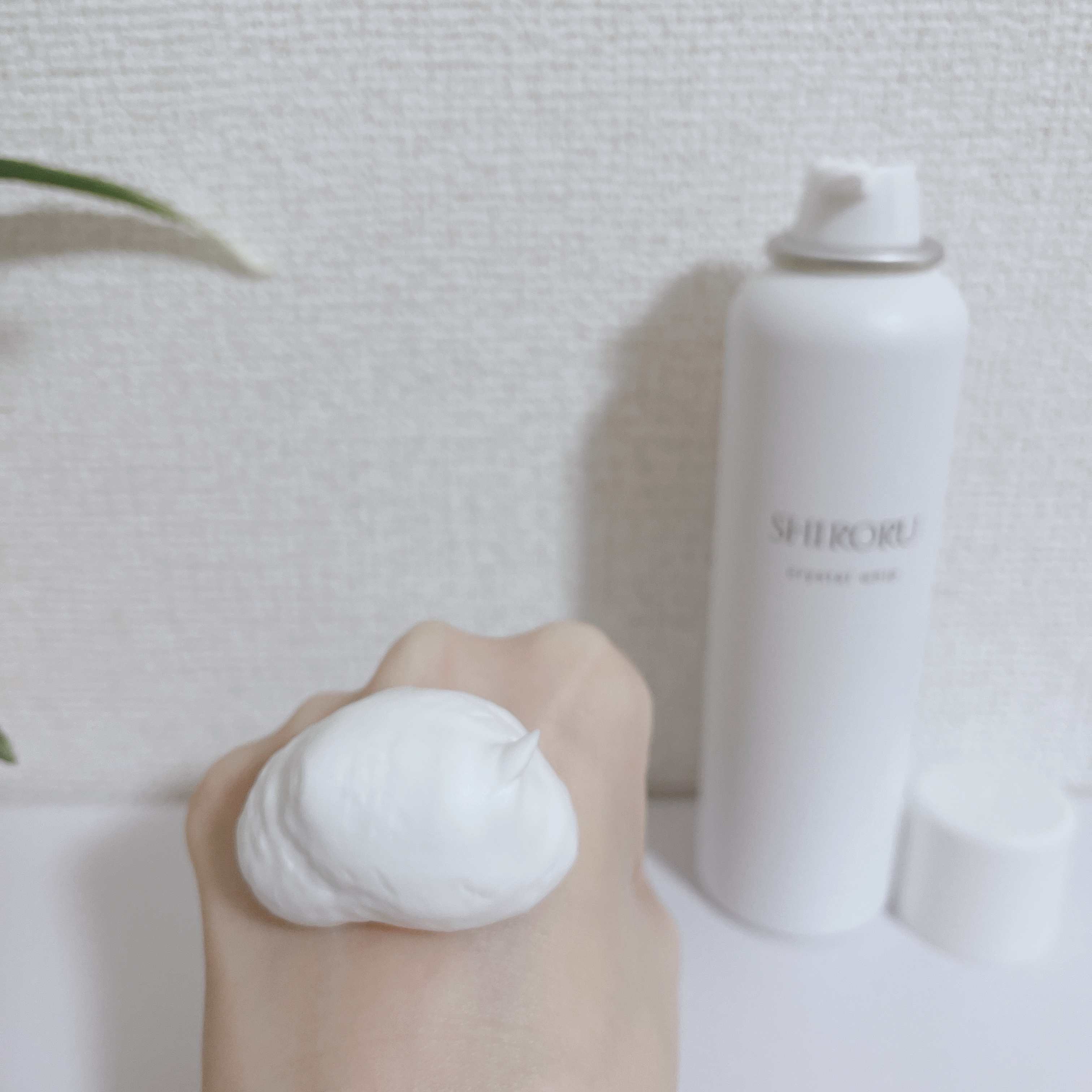 SHIRORU クリスタルホイップ/SHIRORU/泡洗顔を使ったクチコミ（2枚目）