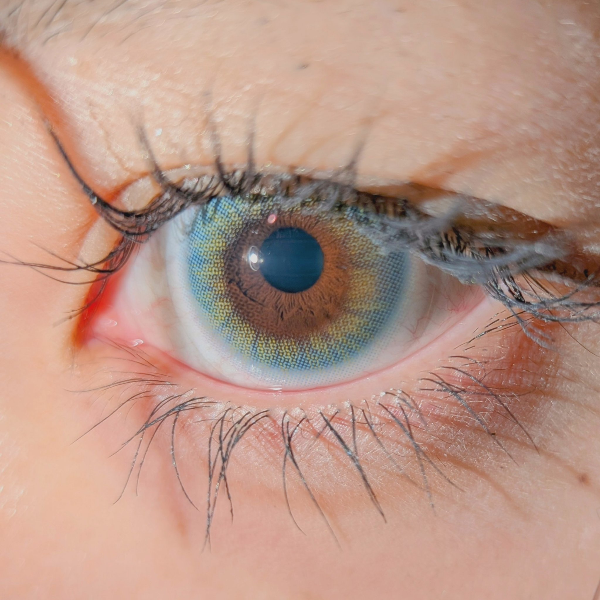 COLOR PICK/COLOR PICK/１ヶ月（１MONTH）カラコンを使ったクチコミ（2枚目）