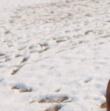 ミュアイス デイリースキンプライマー/muice/化粧下地を使ったクチコミ(1枚目)