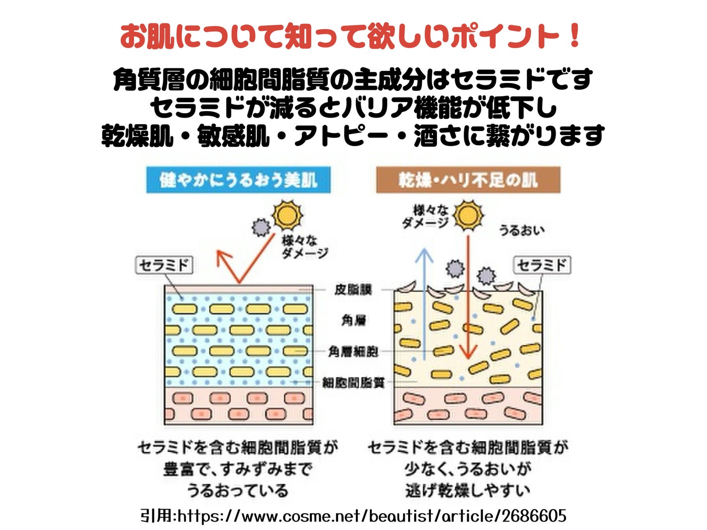 バリアドリップローション /ATOPI SMILE f./化粧水を使ったクチコミ(4枚目)