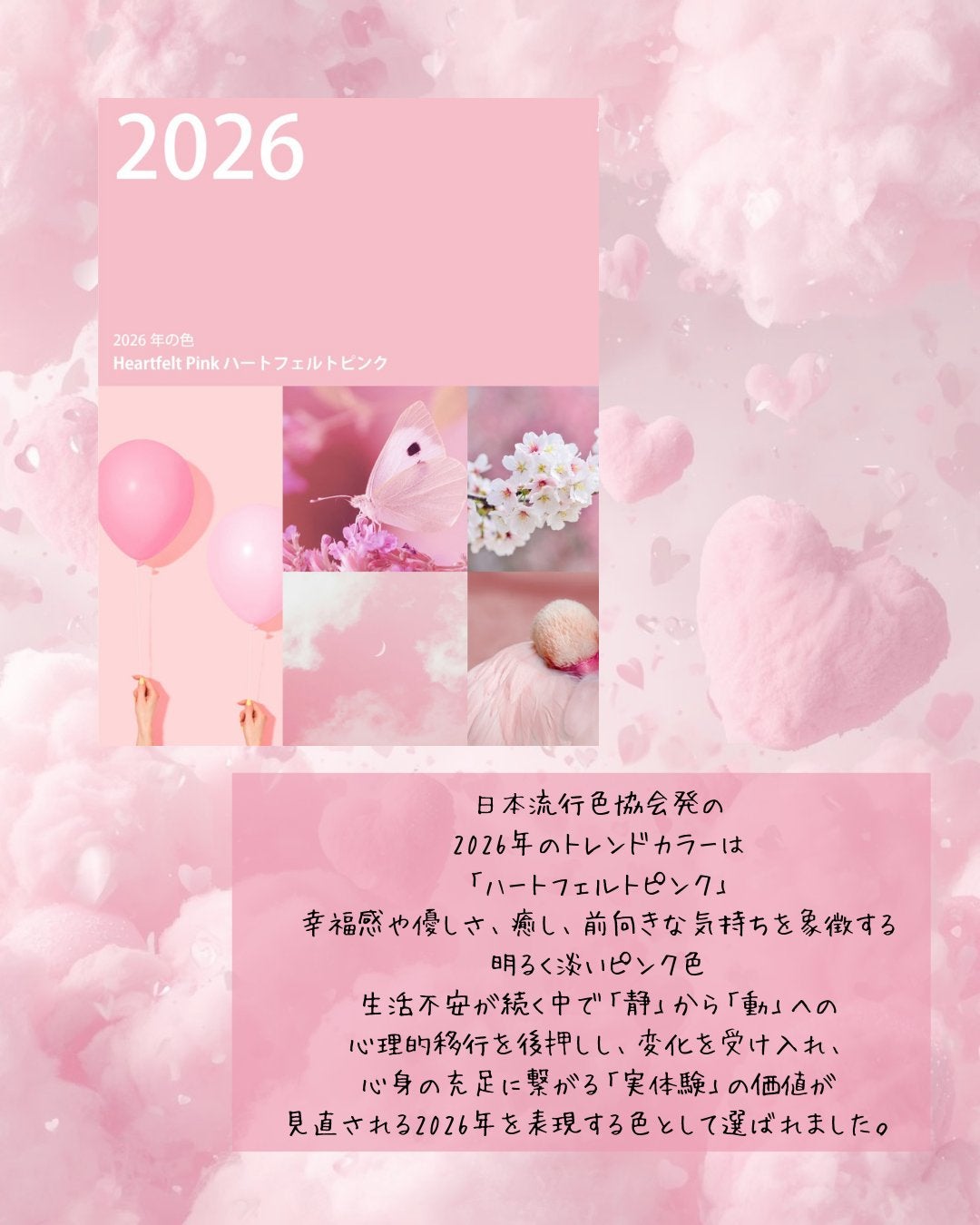 シャドウパレット/dasique/アイシャドウパレットを使ったクチコミ(2枚目)