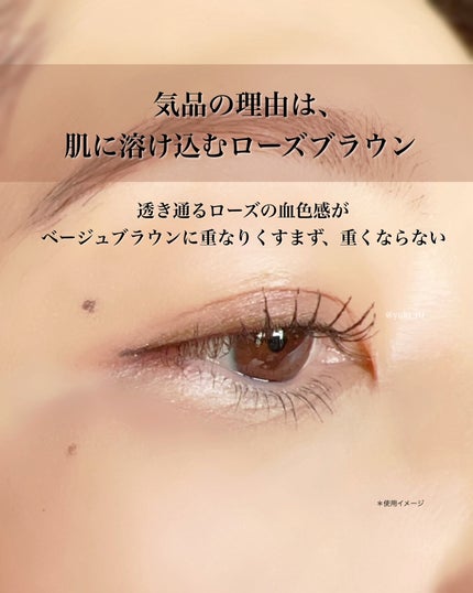 スキンシャドウ デザイニング パレット/DECORTÉ/アイシャドウパレットを使ったクチコミ(2枚目)