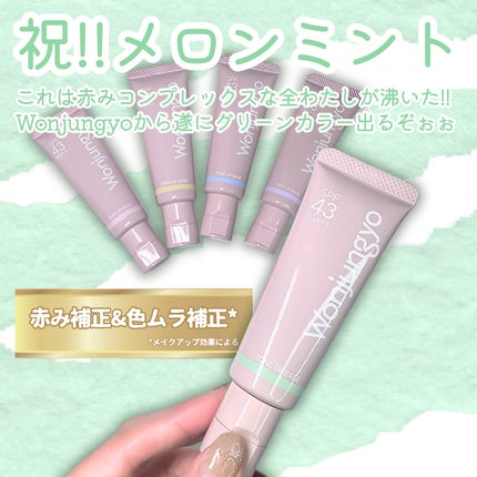 ウォンジョンヨ トーンアップベース N 101 メロンミント/Wonjungyo/化粧下地を使ったクチコミ(2枚目)