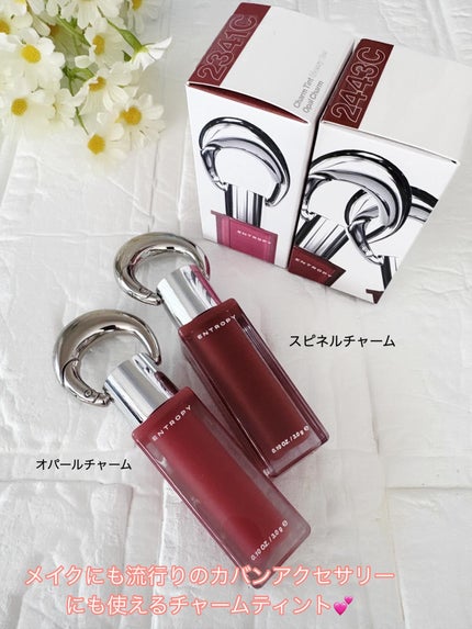 エントロピー チャームティント グロッシージェル/ENTROPY/リップティントを使ったクチコミ(2枚目)