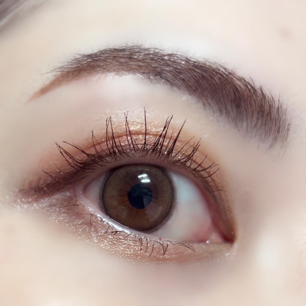 TOPARDS 1day/TOPARDS/ワンデー（１DAY）カラコンを使ったクチコミ（3枚目）