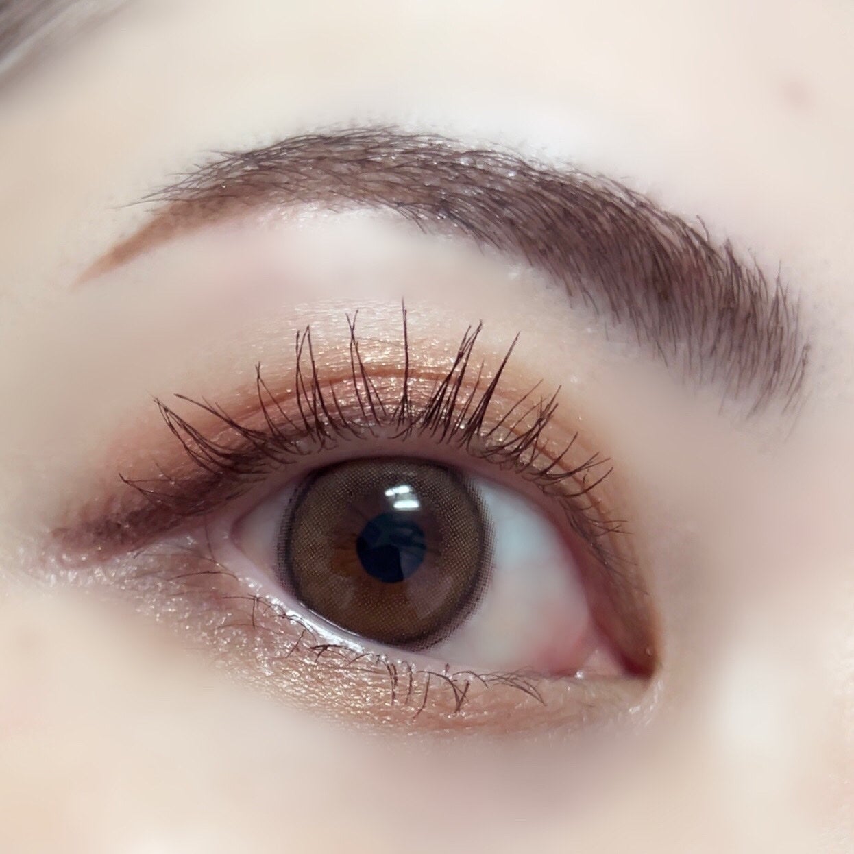 TOPARDS 1day/TOPARDS/ワンデー(1DAY)カラコンを使ったクチコミ(3枚目)