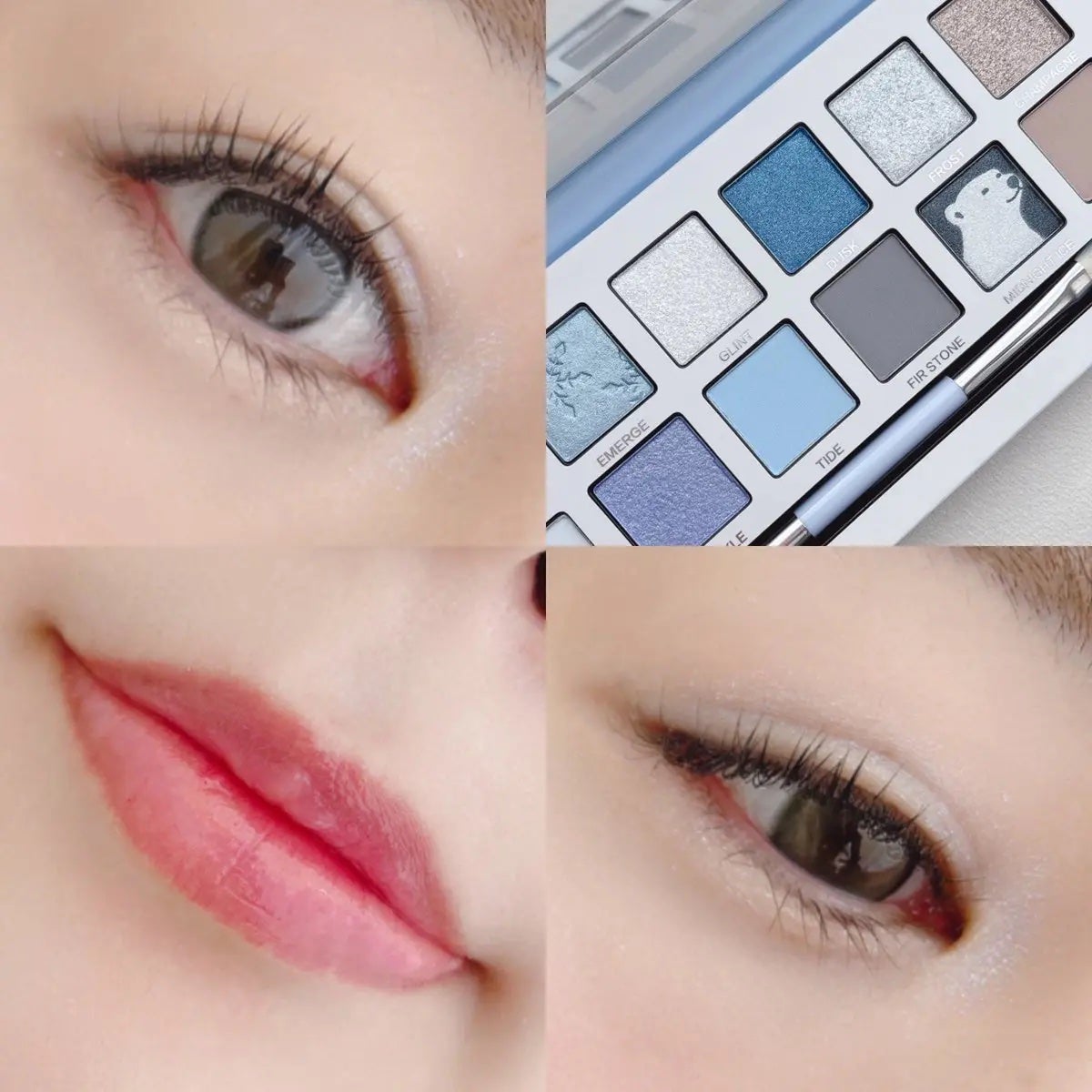 エクスプローラ12色 動物アイシャドウパレット/PERFECT DIARY/アイシャドウパレットを使ったクチコミ(2枚目)