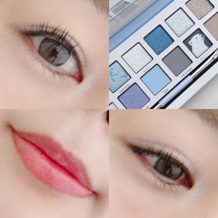 エクスプローラ12色 動物アイシャドウパレット/PERFECT DIARY/アイシャドウパレットを使ったクチコミ(2枚目)