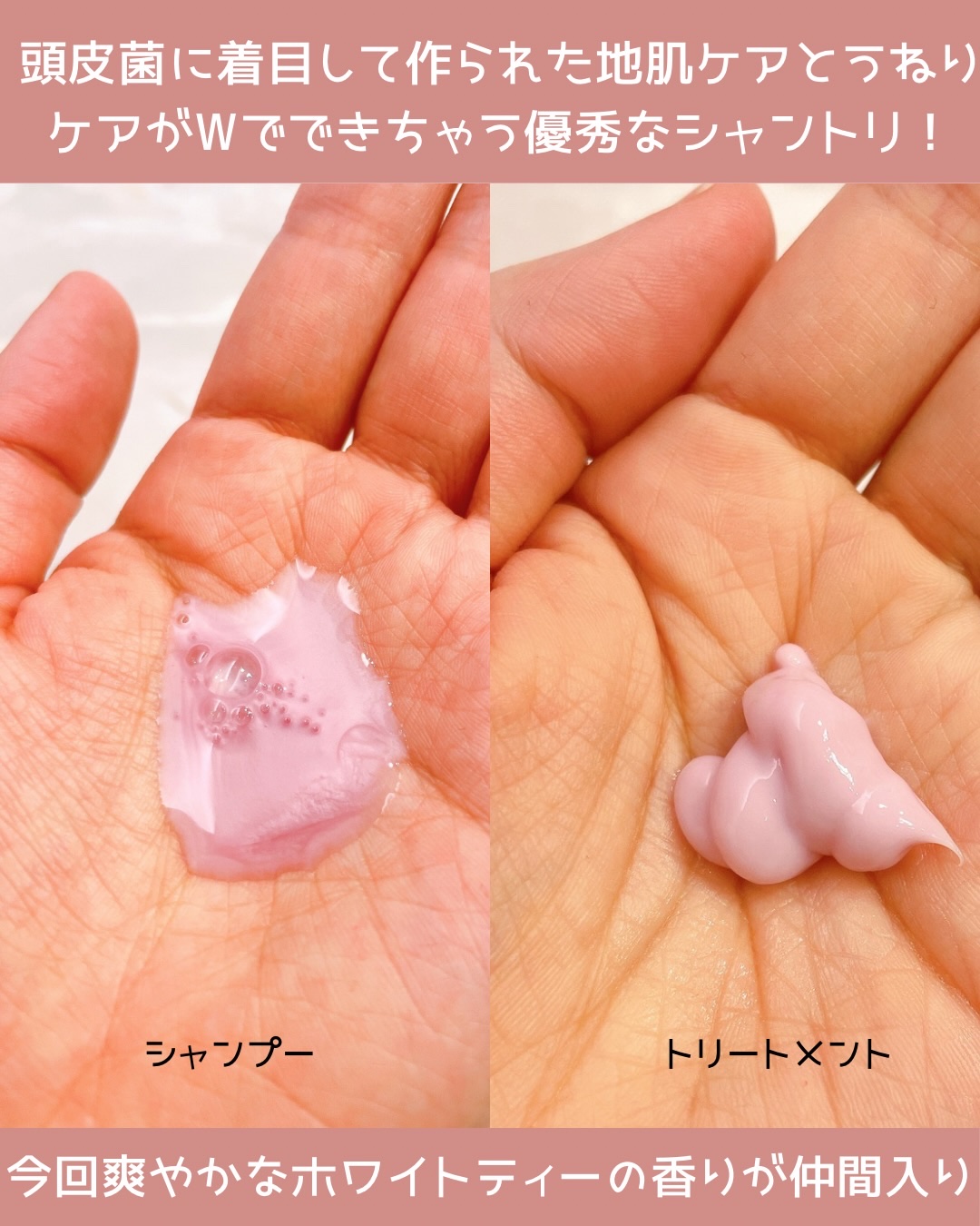 プレミオール ヘア エッセンス ホワイトティーの香り/ラサーナ/ヘアオイルを使ったクチコミ（3枚目）