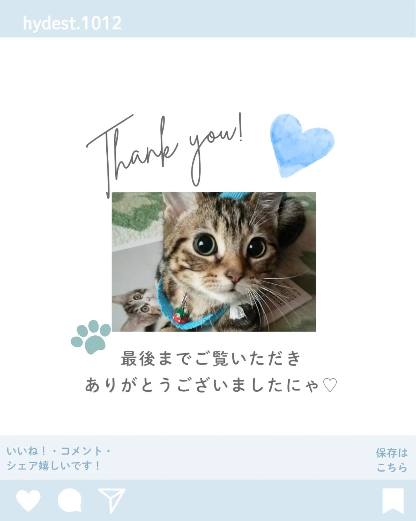 ラッシュジェリードロップ EX プレミアム/MAJOLICA MAJORCA/まつげ美容液を使ったクチコミ(6枚目)