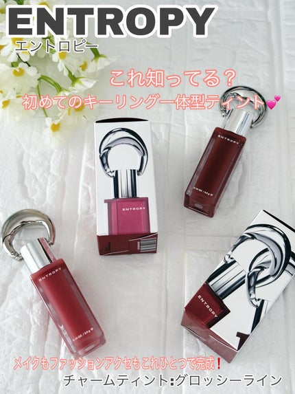 エントロピー チャームティント グロッシージェル/ENTROPY/リップティントを使ったクチコミ(1枚目)