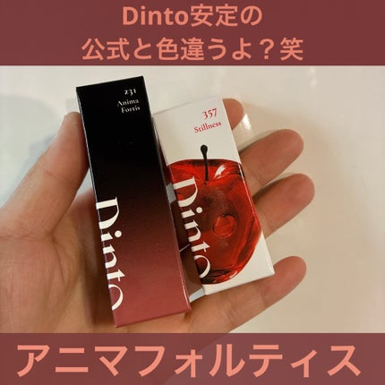 ミラーレスリップオイルグロス/Dinto/リップグロスを使ったクチコミ(1枚目)