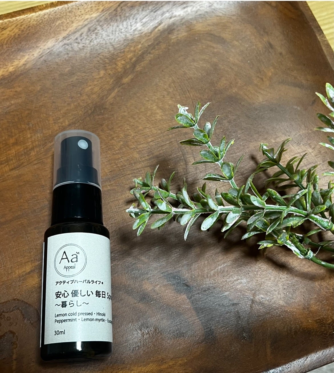 いいねくださった方フォローします✳︎フォロバ100 on LIPS 「コエタスのキャンペーンでいただきました!!Appeal(あぴー..」(1枚目)