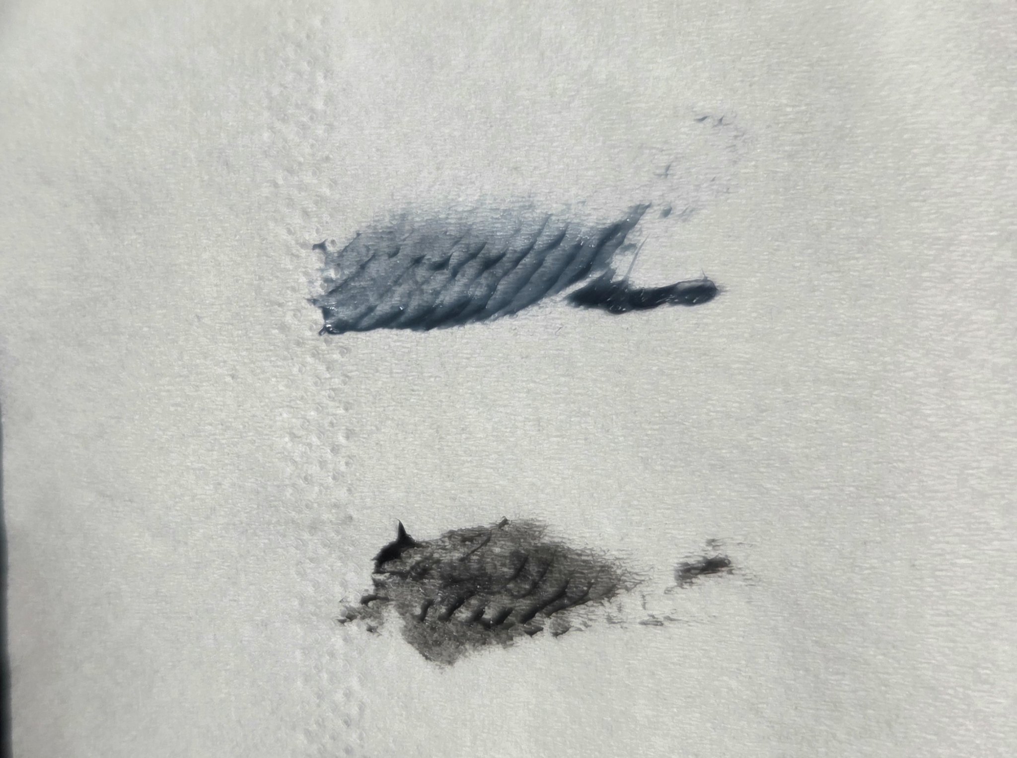 耐久カールマスカラ/CEZANNE/マスカラを使ったクチコミ（3枚目）