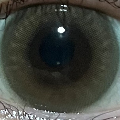 candymagic1day（キャンディーマジックワンデー）/candy magic/ワンデー（１DAY）カラコンを使ったクチコミ（1枚目）