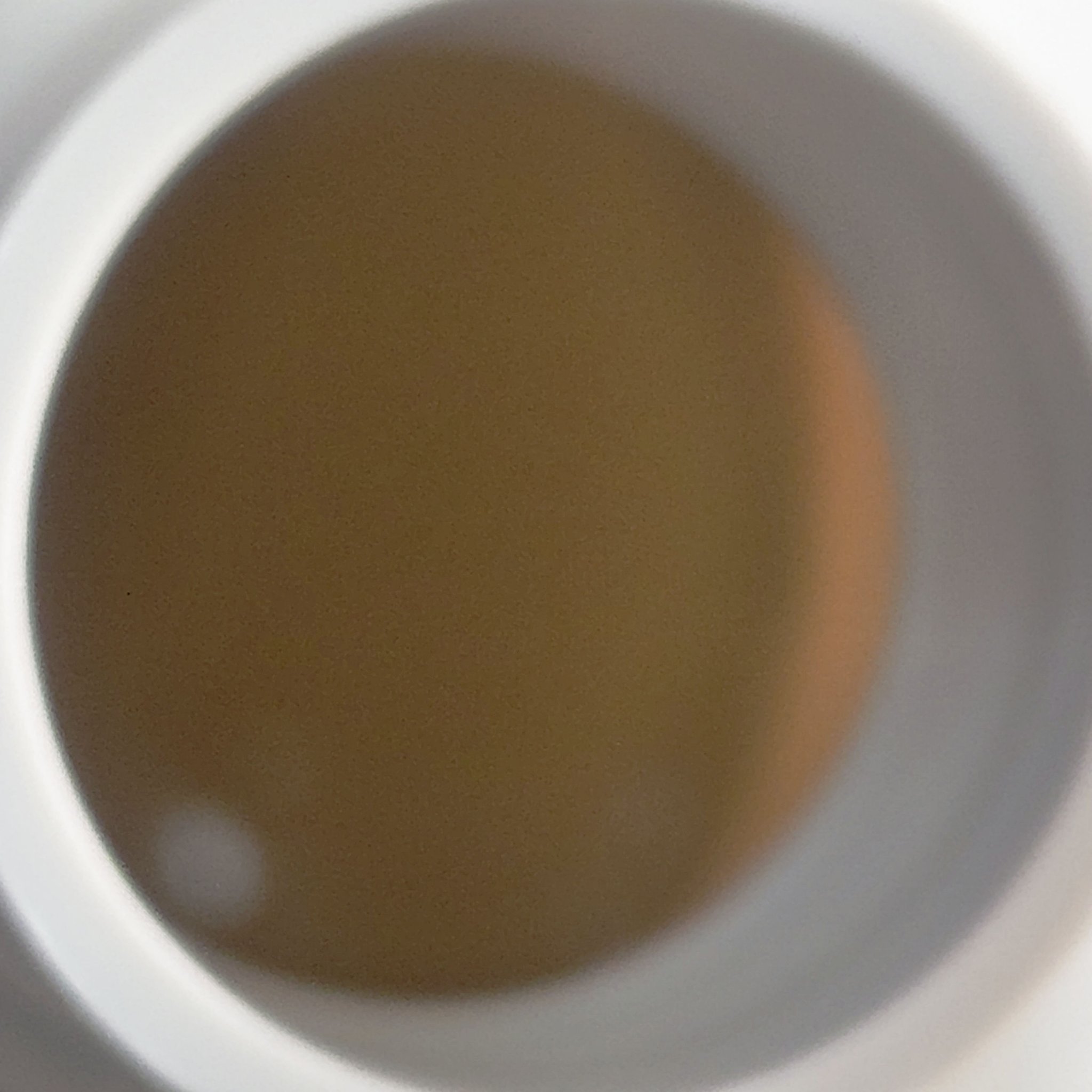 ハイダメージ メンテナンス シャンプー/トリートメント シャンプー 本体/matsukiyo CONCRED/市販シャンプーを使ったクチコミ（3枚目）