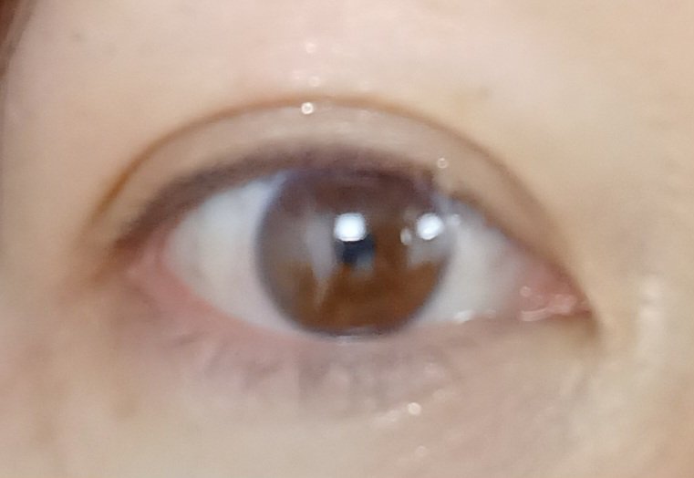 ラスティングマルチアイベース WP/キャンメイク/アイシャドウベースを使ったクチコミ（3枚目）