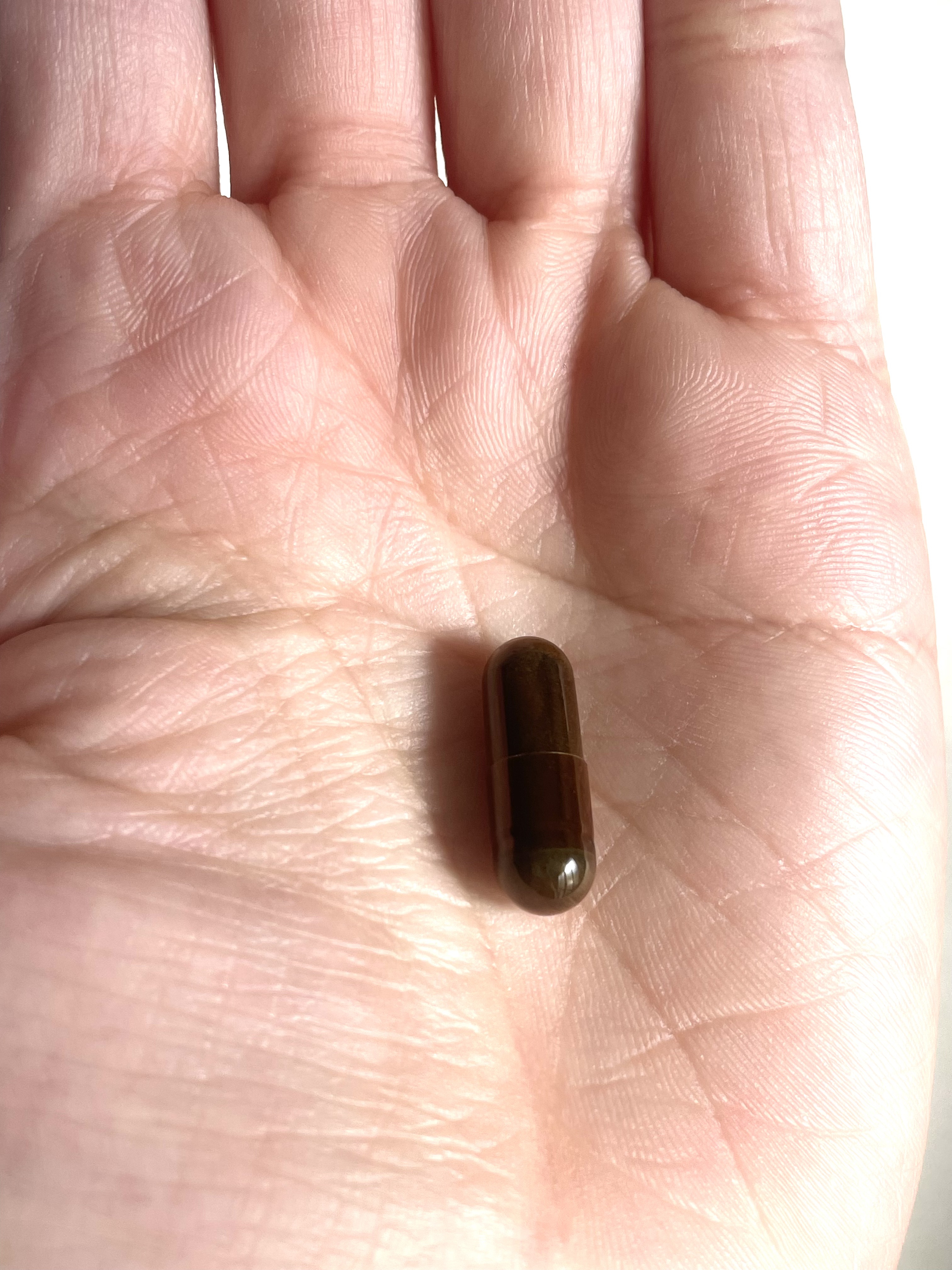 DHC ヘム鉄/DHC/健康サプリメントを使ったクチコミ（2枚目）