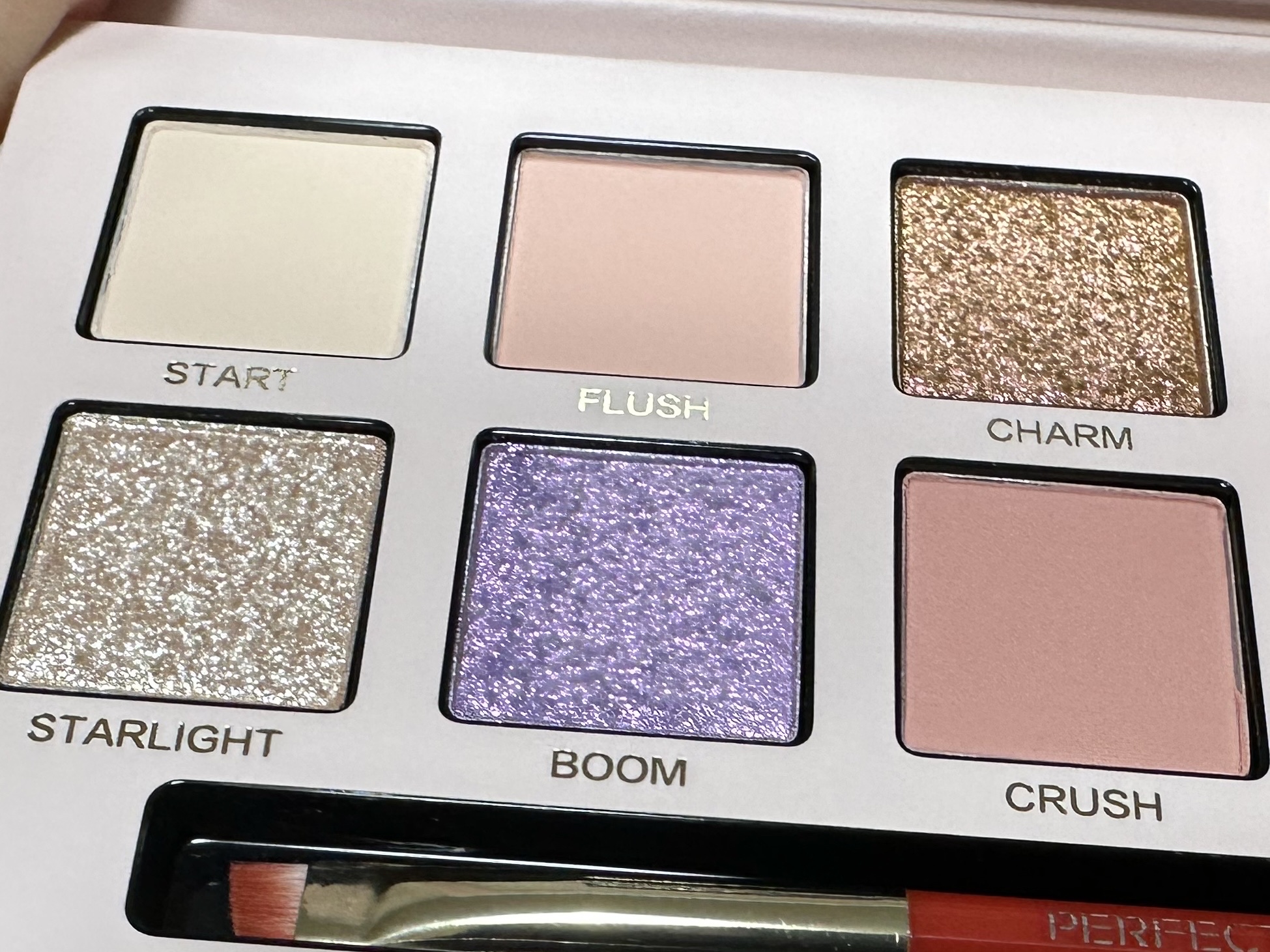 エクスプローラ12色 動物アイシャドウパレット/PERFECT DIARY/アイシャドウパレットを使ったクチコミ（3枚目）