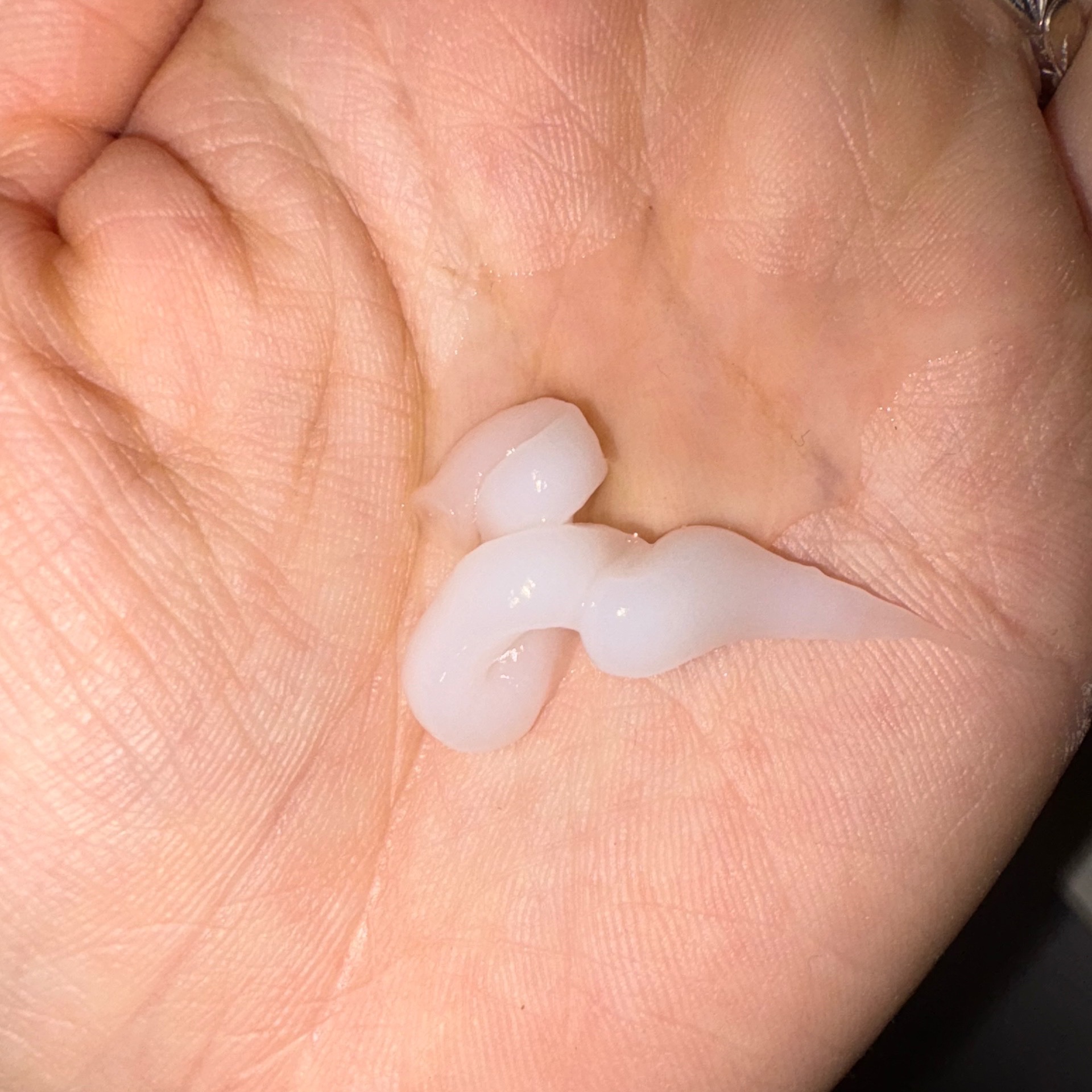 オーガニックフレグランスサラサラシャンプー/トリートメント MAPUTI/MAPUTI/シャンプー・コンディショナーを使ったクチコミ（2枚目）