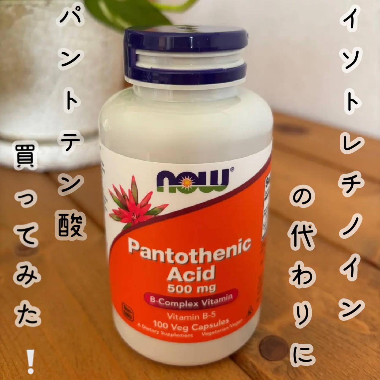 PantothenicAcid 500mg/Now Foods/健康サプリメントを使ったクチコミ（1枚目）