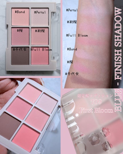 ブラーフィニシュシャドウパレット/Dinto/アイシャドウパレットを使ったクチコミ(2枚目)