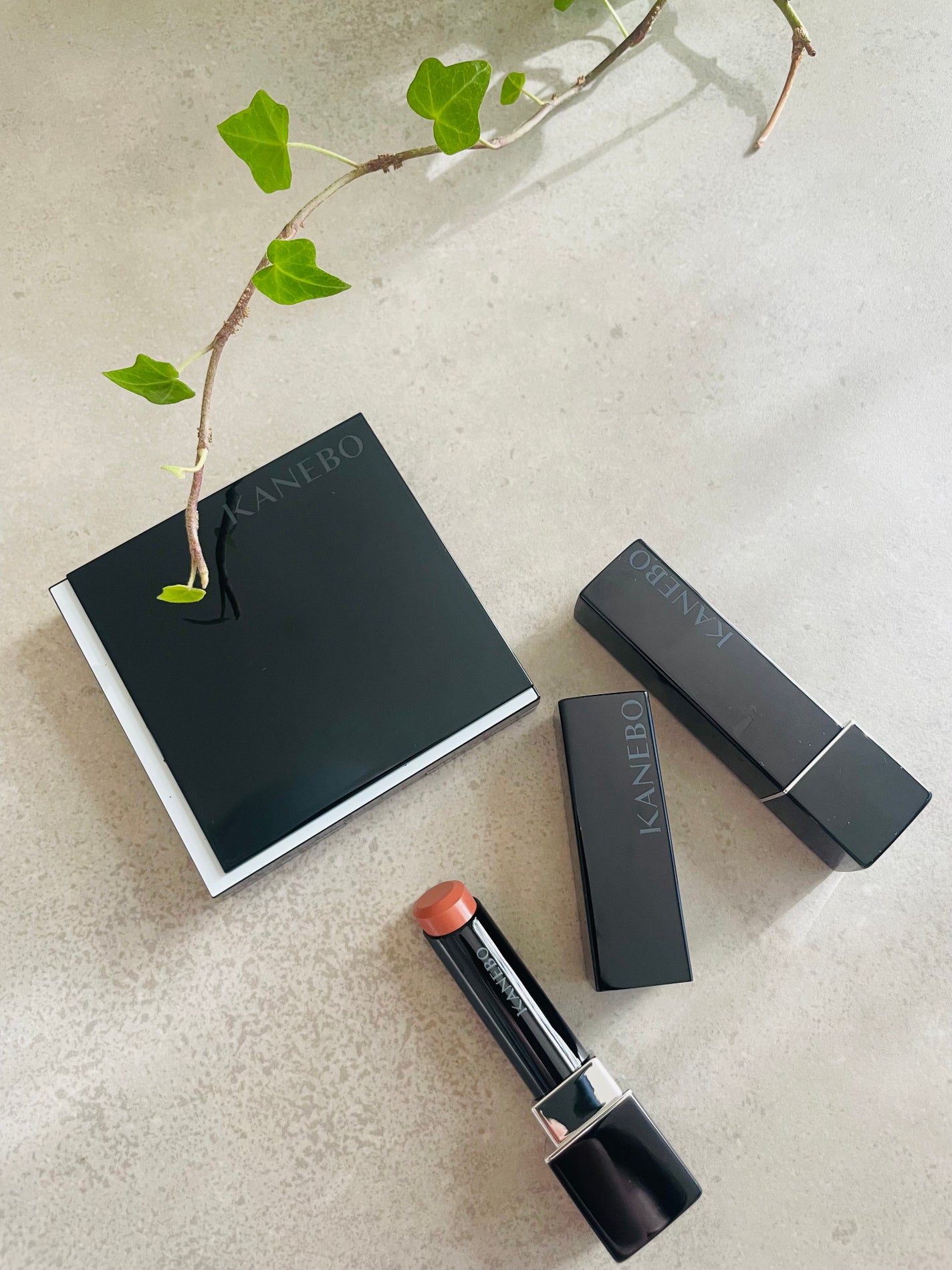ルージュスターヴァイブラント/KANEBO/口紅を使ったクチコミ(1枚目)