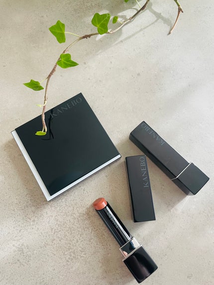 ルージュスターヴァイブラント/KANEBO/口紅を使ったクチコミ(1枚目)