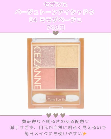 ネンマクフェイク ルージュ/Visée/口紅を使ったクチコミ(2枚目)