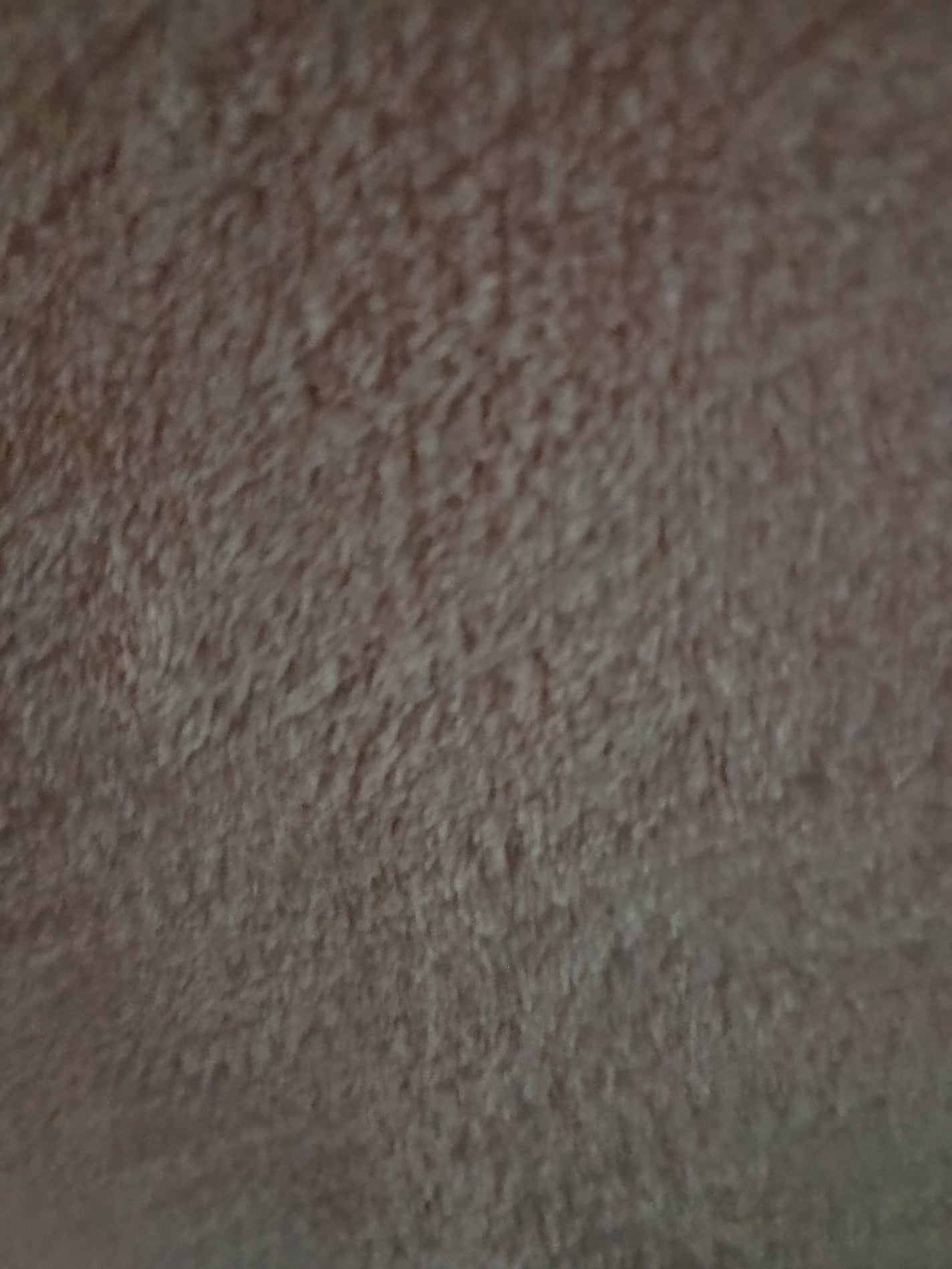 ヘアドライマイクロファイバータオル/ハホニコハッピーライフ/ヘアケアグッズを使ったクチコミ(1枚目)