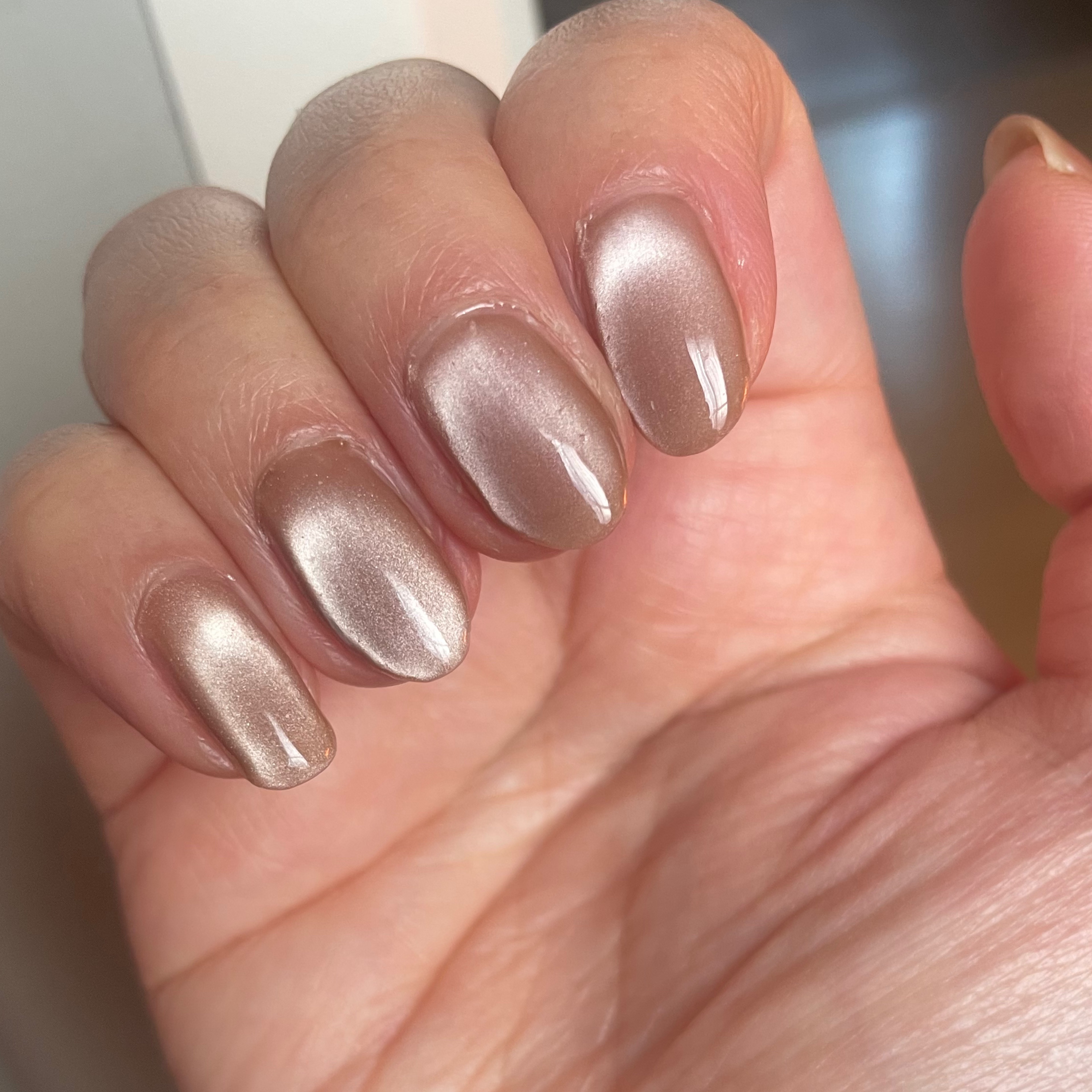 5ミクロンマグネット/ネイル工房/ジェルネイルを使ったクチコミ（3枚目）